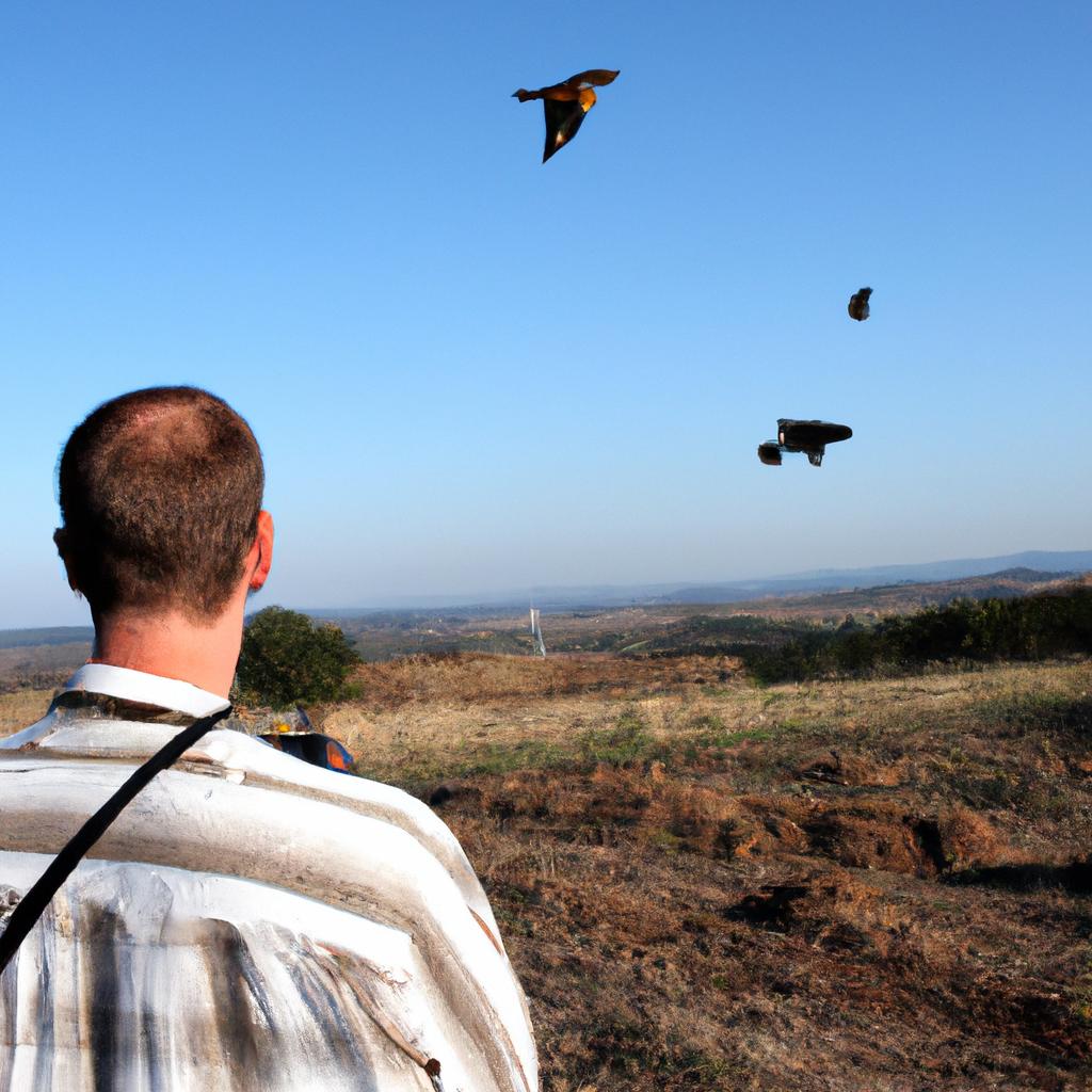 Man observing falcons in flight